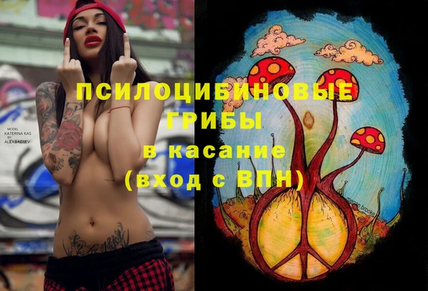 дмт Краснотурьинск