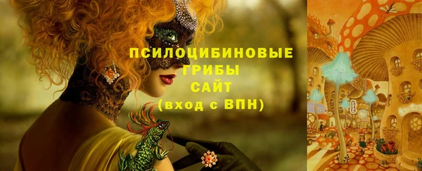 круглые Коряжма