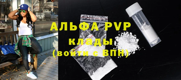 прущие грибы Ладушкин