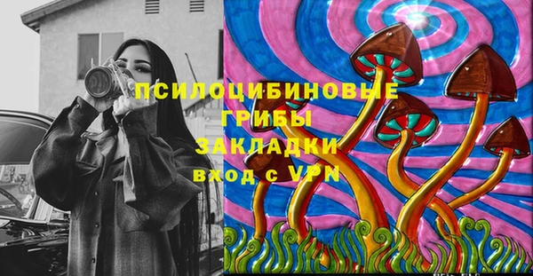 гидропоника Лагань